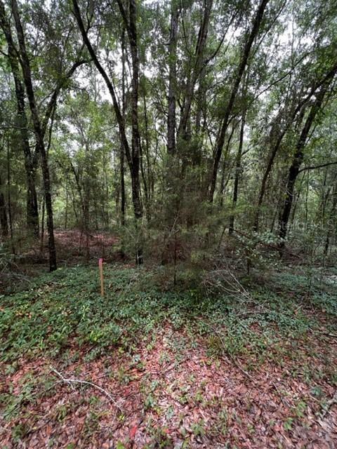 00 SW 32nd Pl. #LOT 20, Ocala, FL 34481