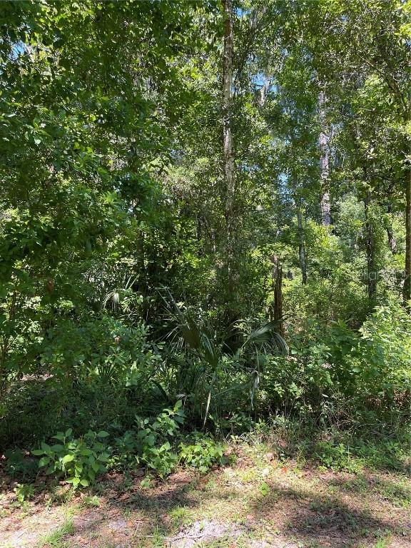 SE 65 Ave., Summerfield, FL 34491