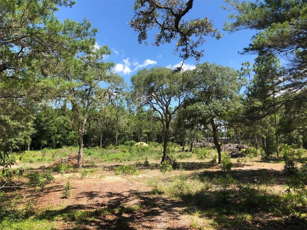 17815 SW 45th Pl., Dunnellon, FL 34432