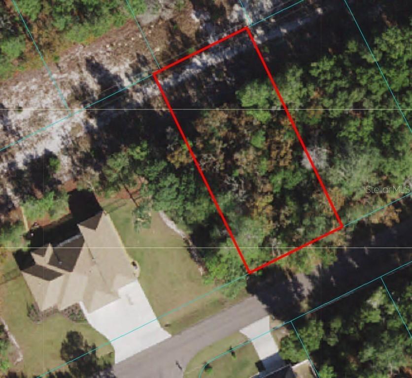 00 Bay Ter., Ocklawaha, FL 32179