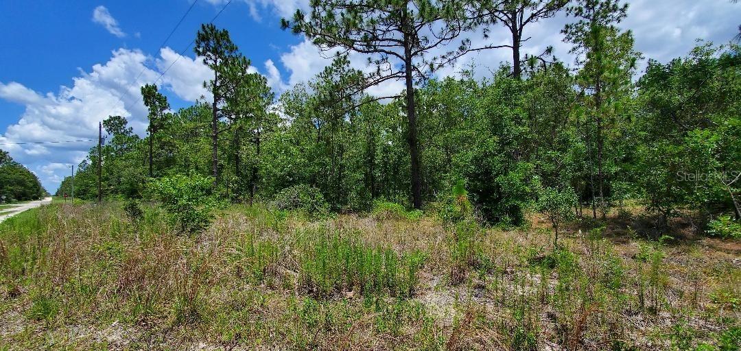 SW 47 St., Dunnellon, FL 34432