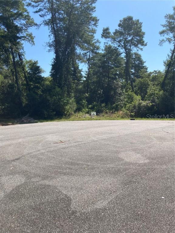 SW 156 Pl., Ocala, FL 34473