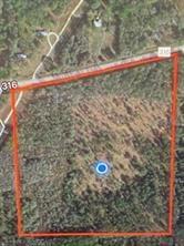 E Hwy 316, Fort Mc Coy, FL 32134