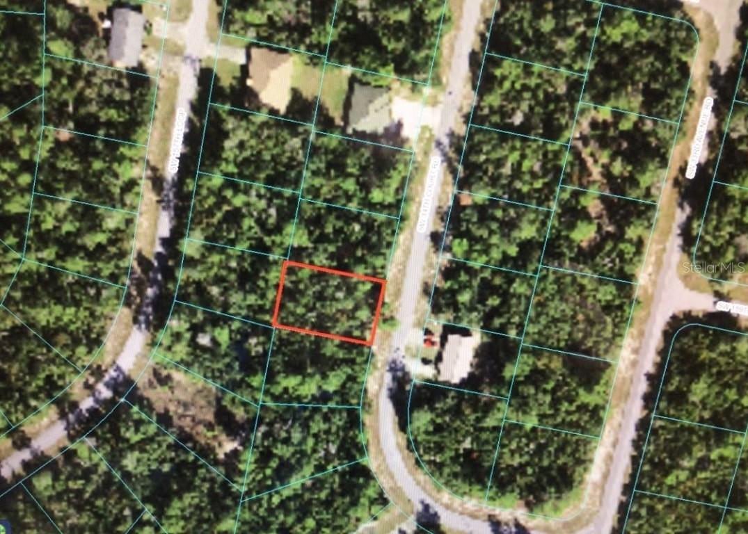 16038 SW 34th Court Rd., Ocala, FL 34473