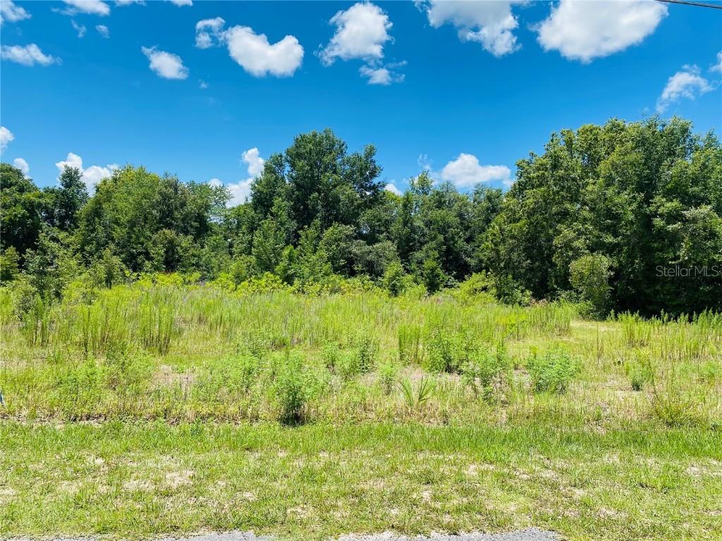 00 Se 109th Lane, Belleview, FL 34420