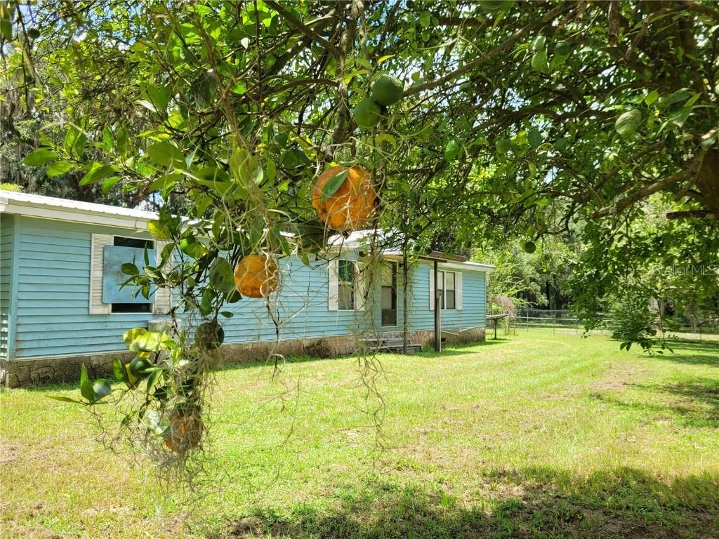 3160 NE 175th Street Rd., Citra, FL 32113