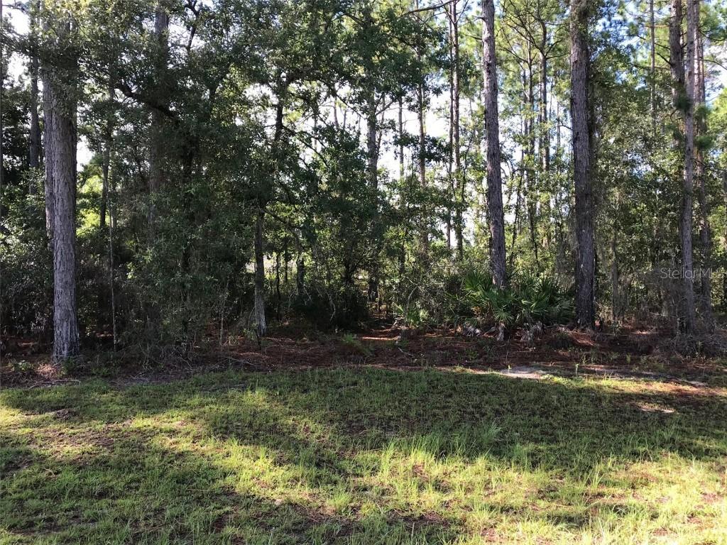 00 SW 81st Cir., Ocala, FL 34473