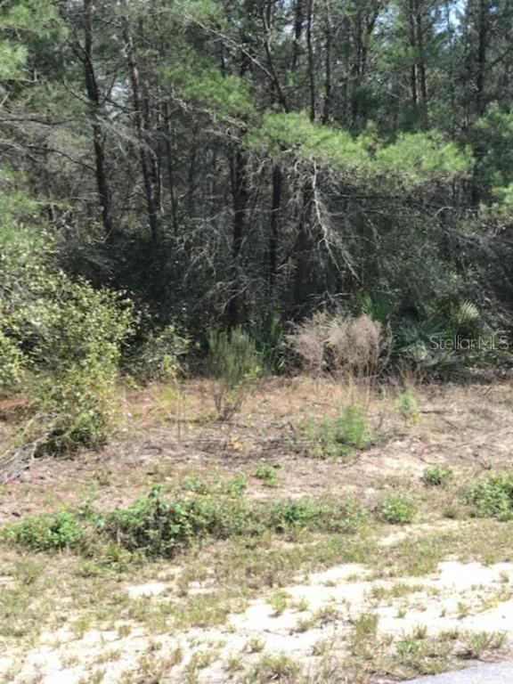 SW 152nd Lane Rd., Ocala, FL 34473