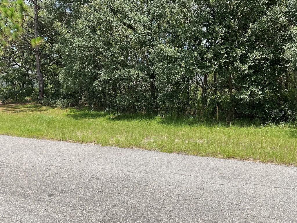 TBD SW 153rd Place Rd., Ocala, FL 34473