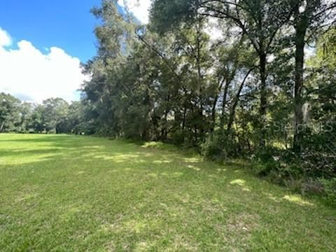 2538 NW 145th St., Citra, FL 32113