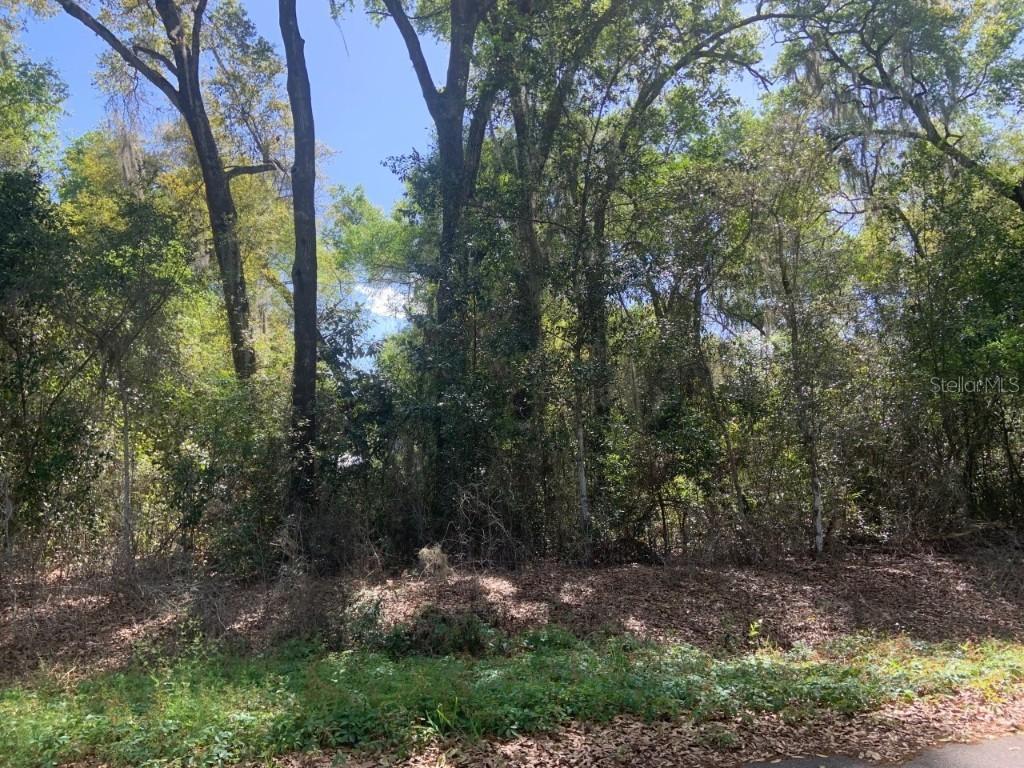 TBD Bahia Pass Loop, Ocala, FL 34472