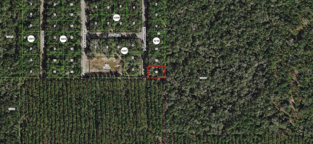 8011 N Yellowbird Ave., Citrus Springs, FL 34434
