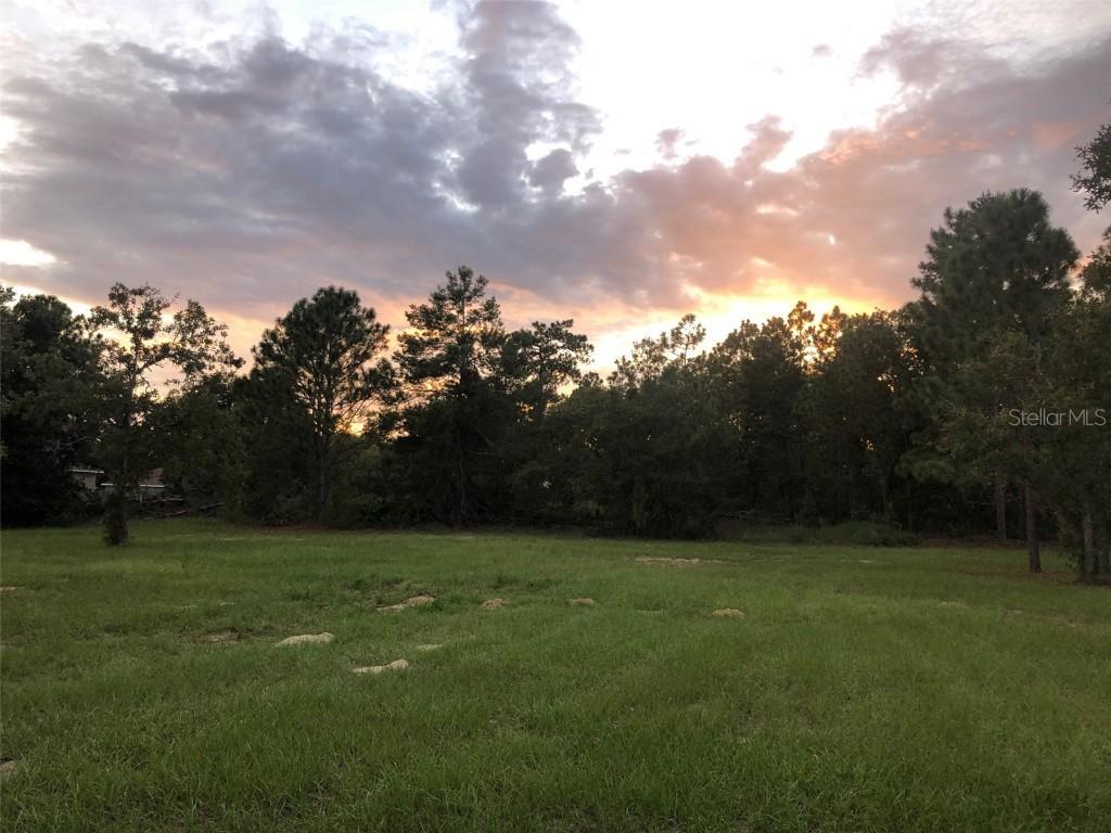 Undetermined, Ocala, FL 34473