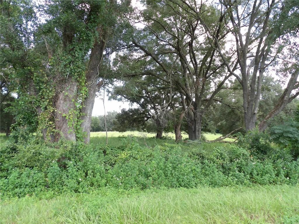 NW 6th St., Dunnellon, FL 34431