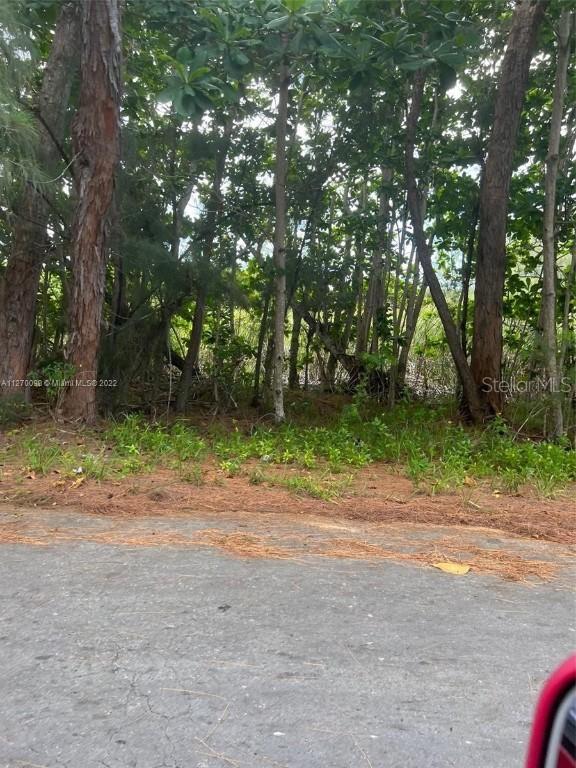 SE Locust Ps Pass, Ocala, FL 34472