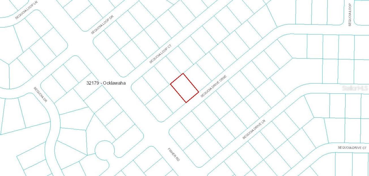 Sequoia Drive Crse, Ocklawaha, FL 32179