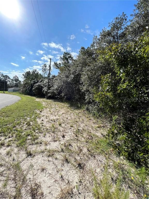 SW 144 Pl., Ocala, FL 34473