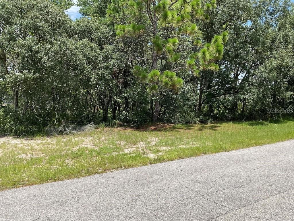 000 SW 60th Ter., Ocala, FL 34473