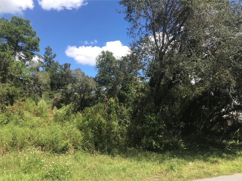 00 SW 139th  Street Road, Ocala, FL 34473