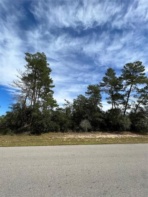 Marion Oaks Ln., Ocala, FL 34473