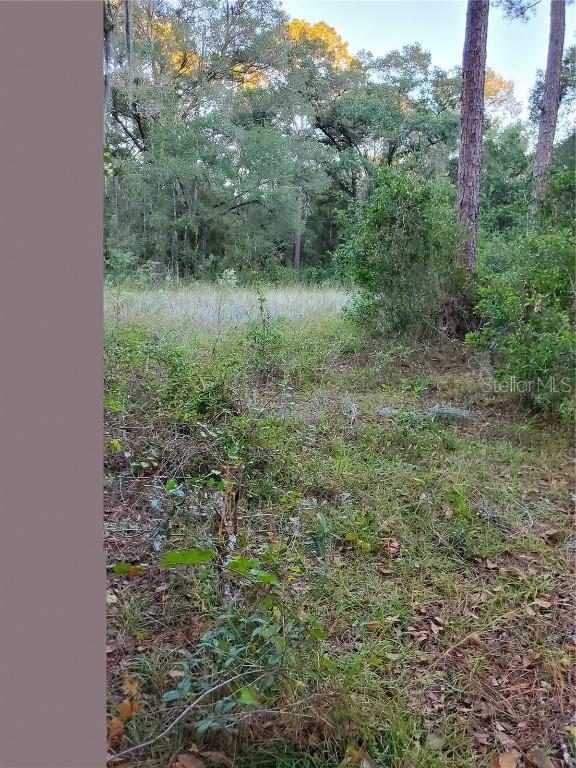 11350 SW 150th St., Dunnellon, FL 34432