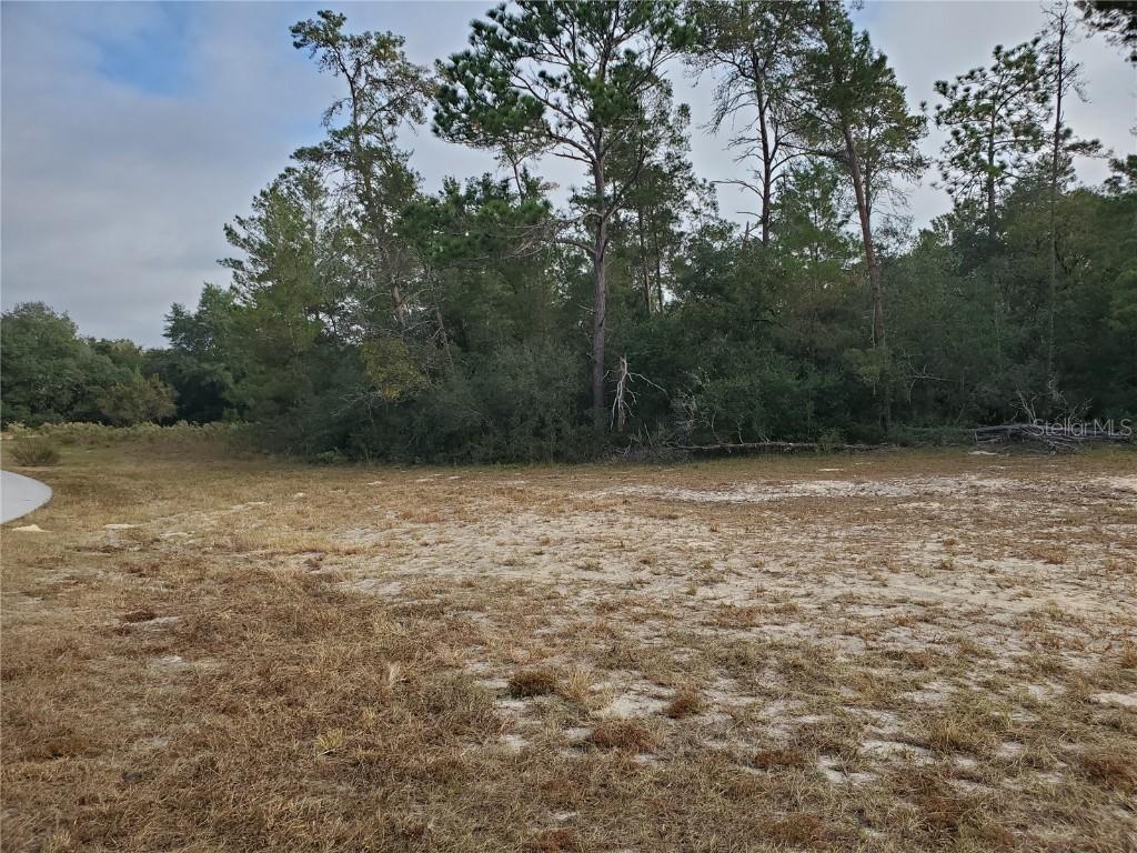 Marion Oaks Gulf Way, Ocala, FL 34473