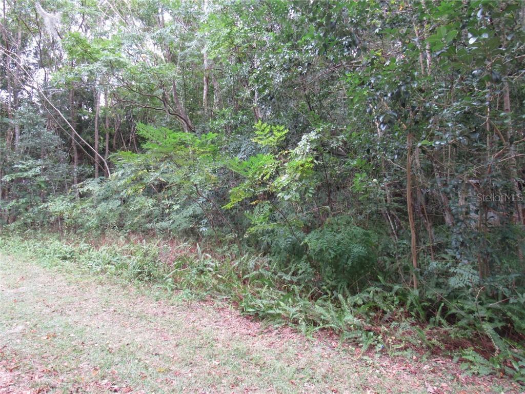 1088 NE 71st Ln., Ocala, FL 34479