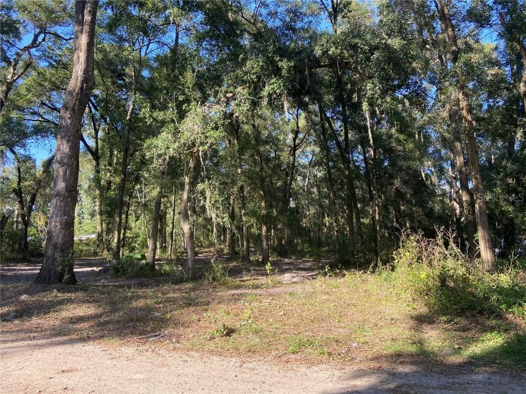SE 93rd Pl., Ocala, FL 34480