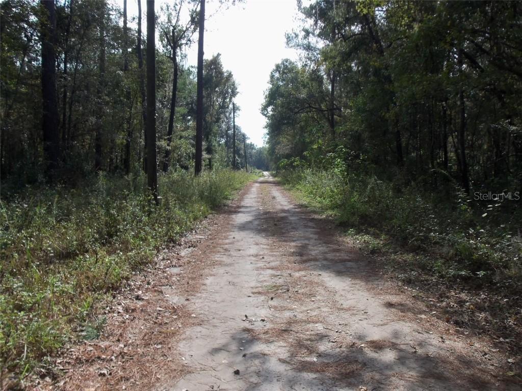 Lot 8 SW 15th St., Ocala, FL 34481