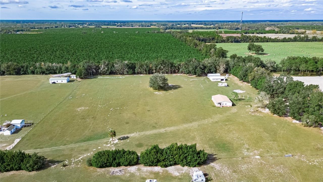 5330 NW 52nd Ct., Chiefland, FL 32626