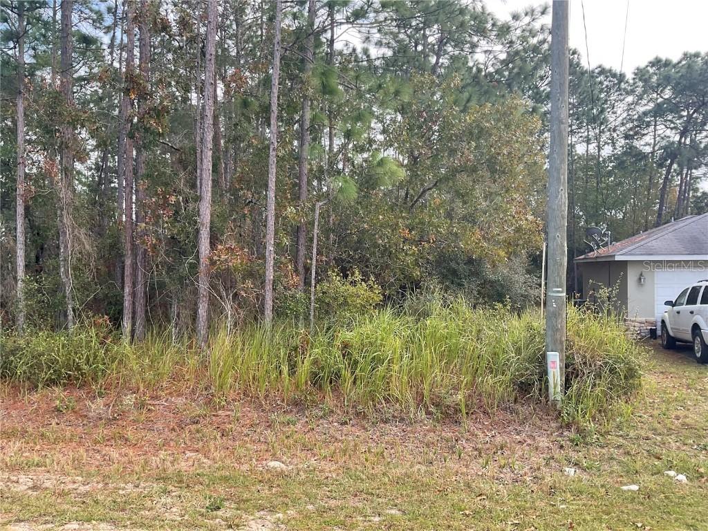 Hemlock Loop, Ocala, FL 34471