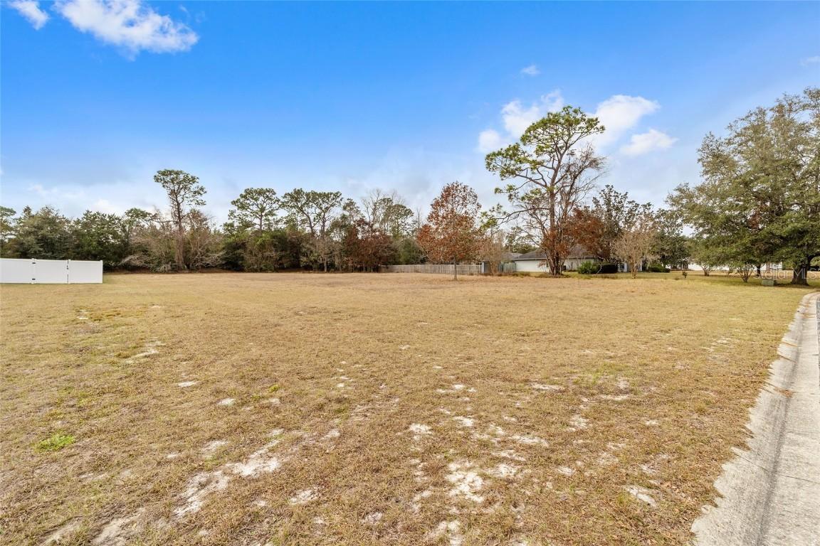 Ne 60th Terrace, Silver Springs, FL 34488