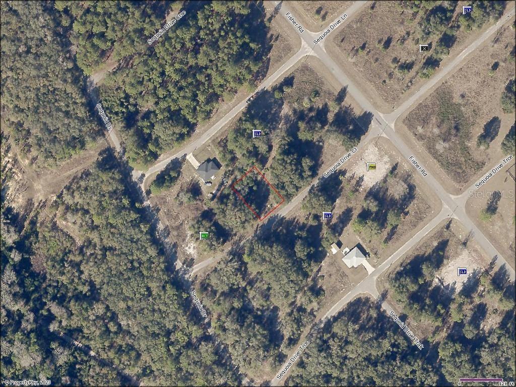 TBD Sequoia Drive Ct., Ocklawaha, FL 32179