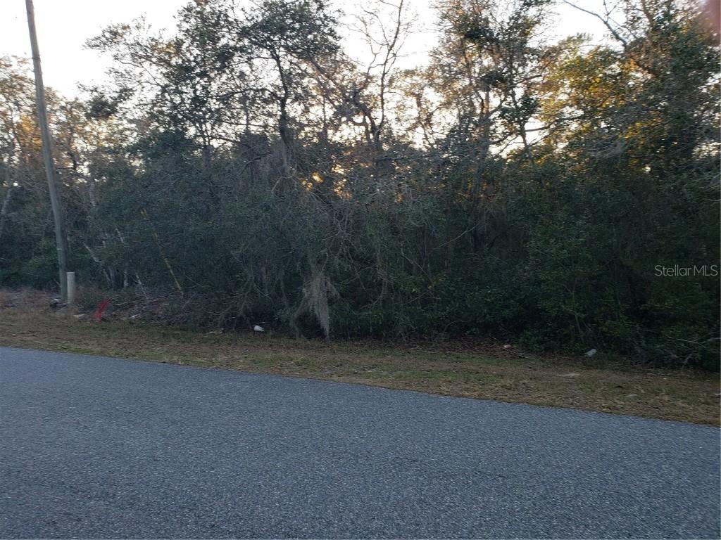 TBD Oak Cir., Ocala, FL 34472