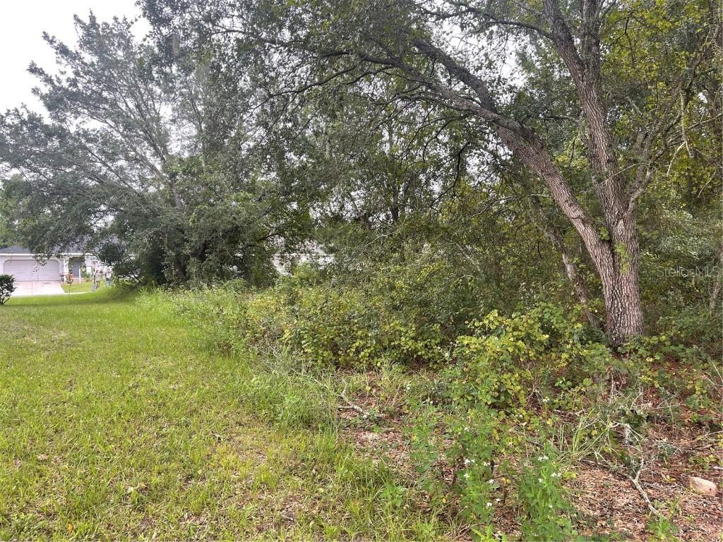 00 SW 129th Place, Ocala, FL 34473