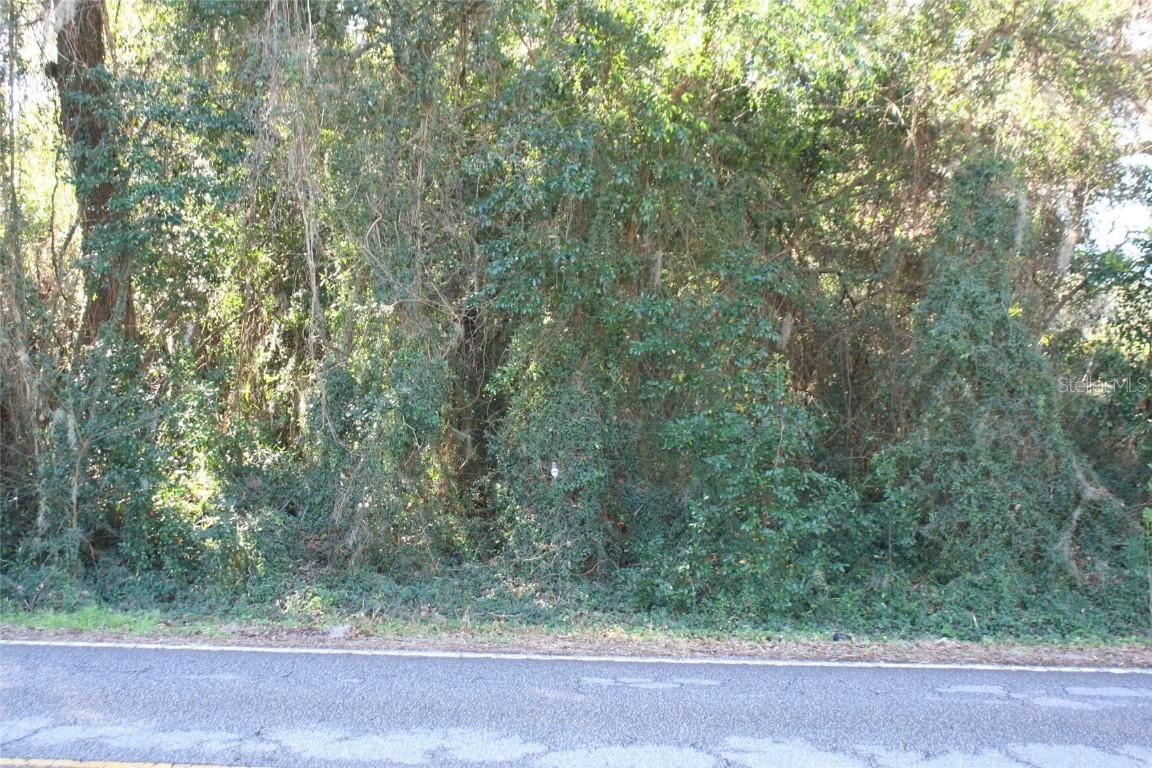 TBD SE Sunset Harbor Rd., Summerfield, FL 34491