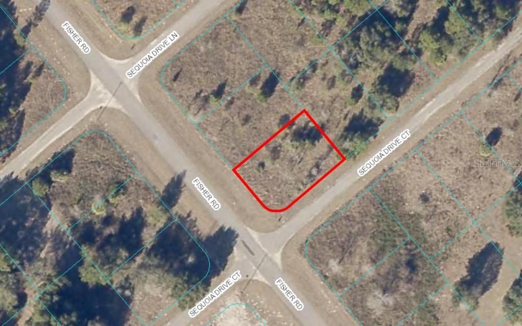 00 Fisher Rd., Ocklawaha, FL 32179