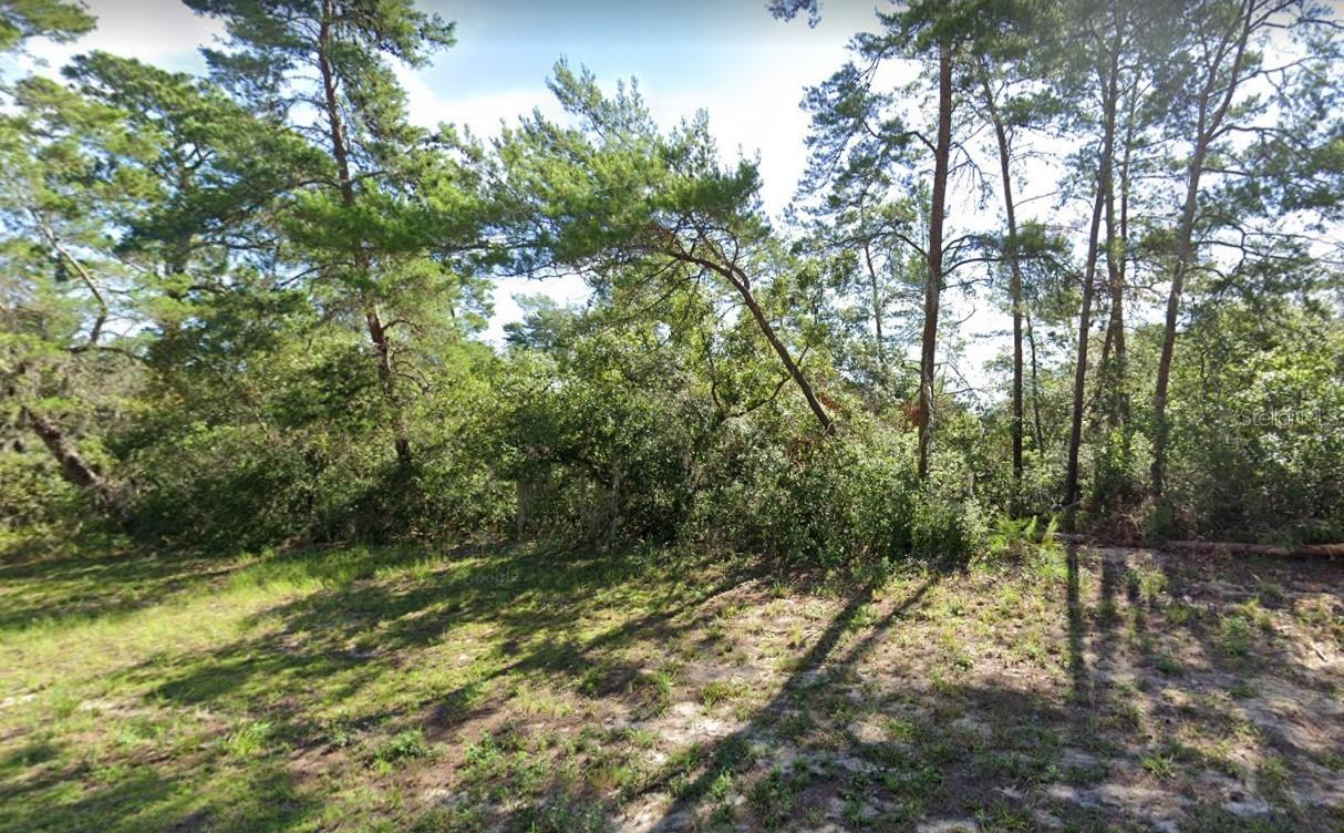 Lot 14 SW 50th Street Rd., Ocala, FL 34473