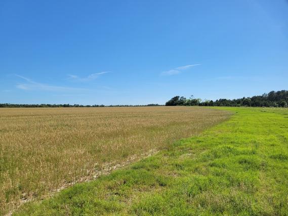 New Homes For Sale This Week in Fort McCoy: February 10th to February 16th