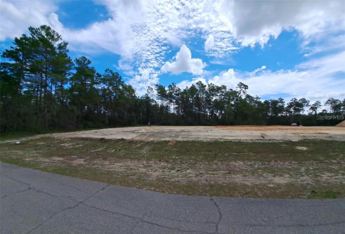 3515 SW 176 St., Ocala, FL 34473