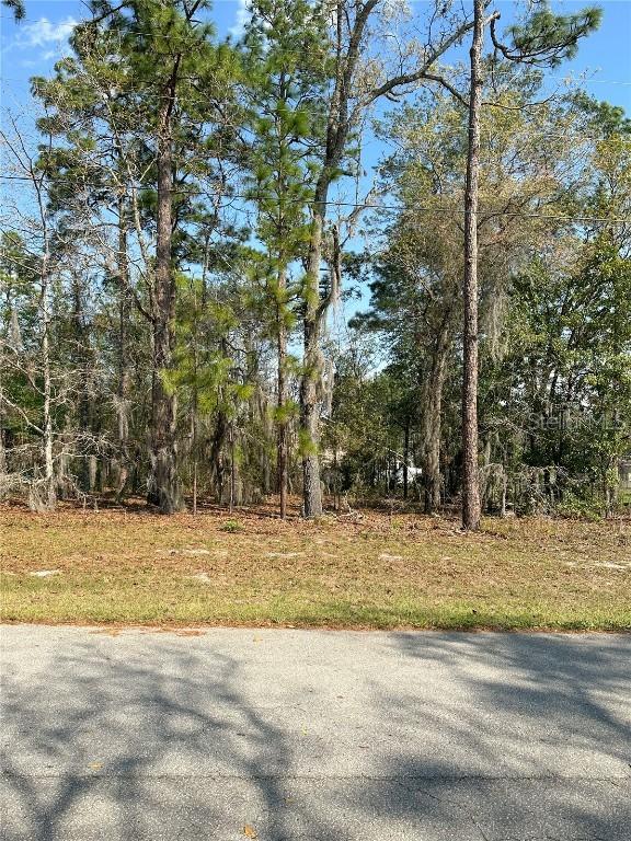 SW 128th Pl., Ocala, FL 34473