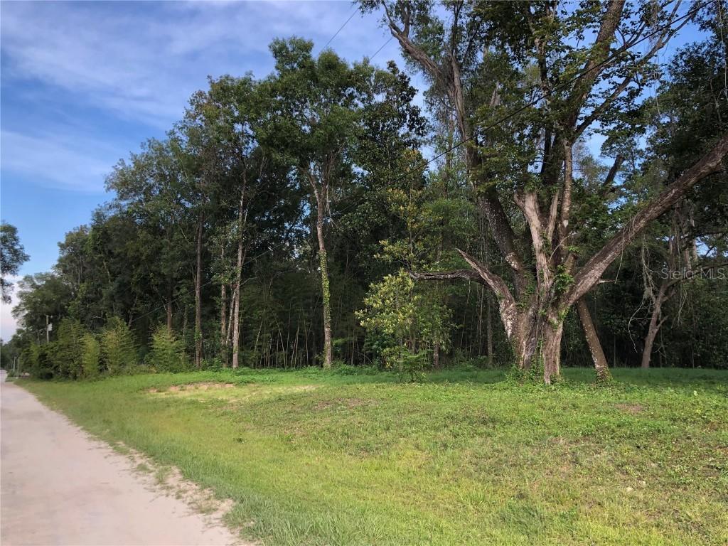 TBD NW 7th Place, Ocala, FL 34482