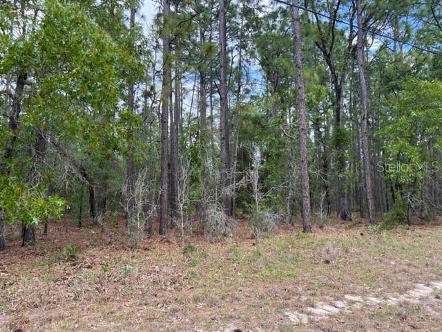 LOT 22 SW Lot 22 137 St., Ocala, FL 34473