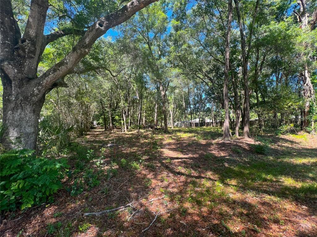 [Address Hidden by Seller], Inverness, FL 34453