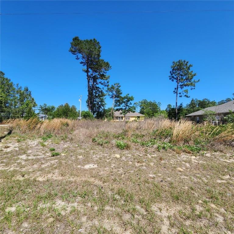 5150 SW 128th Pl., Ocala, FL 34473