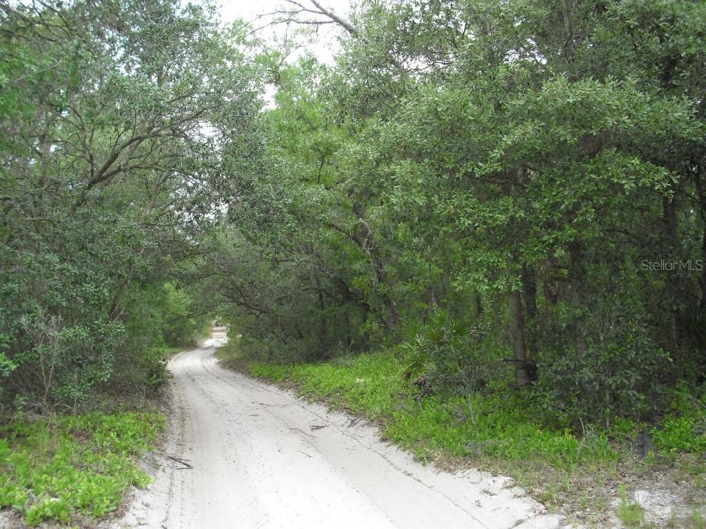 6737 SW 157 Ln., Dunnellon, FL 34432