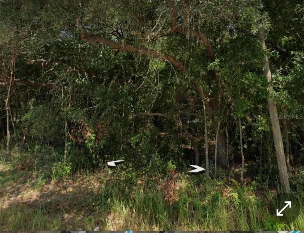 Dogwood Drive Loop, Ocala, FL 34472