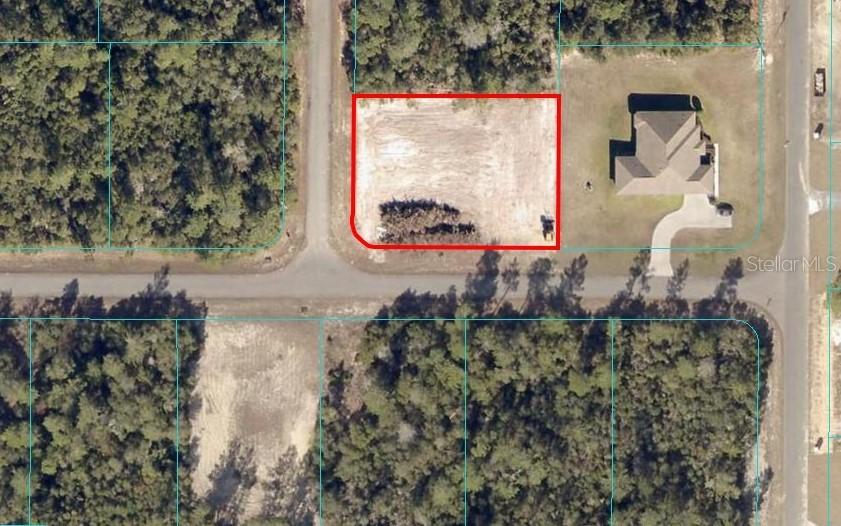 1979 SW 176th Lane Rd., Ocala, FL 34473