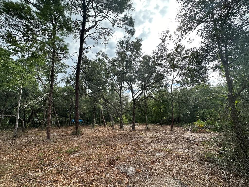 TBD NE 111 Ct., Fort Mc Coy, FL 32134