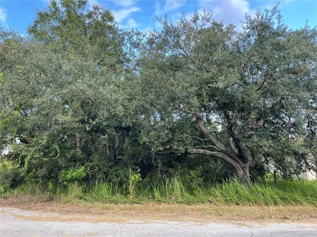 Emerald Trail Place, Ocala, FL 34472